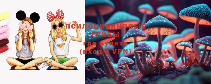 blacksprut рабочий сайт  Беслан  Галлюциногенные грибы Cubensis  купить  